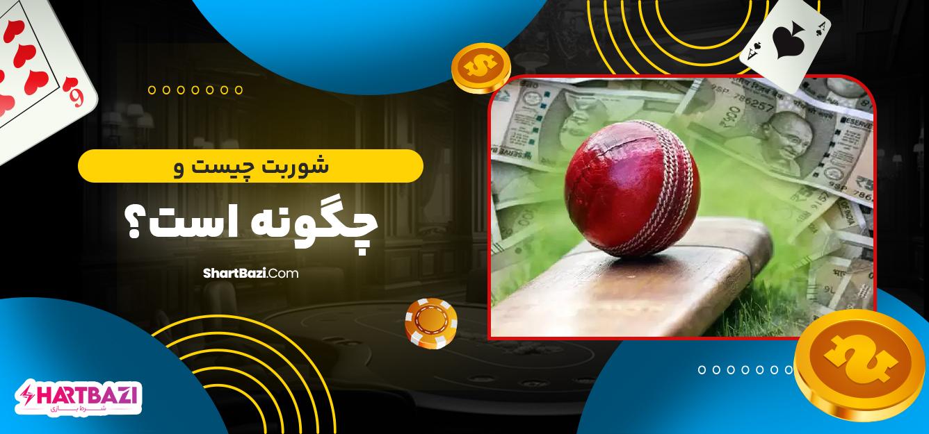 نگاه دقیق به⁢ مزایا و⁣ معایب روش شوربت
