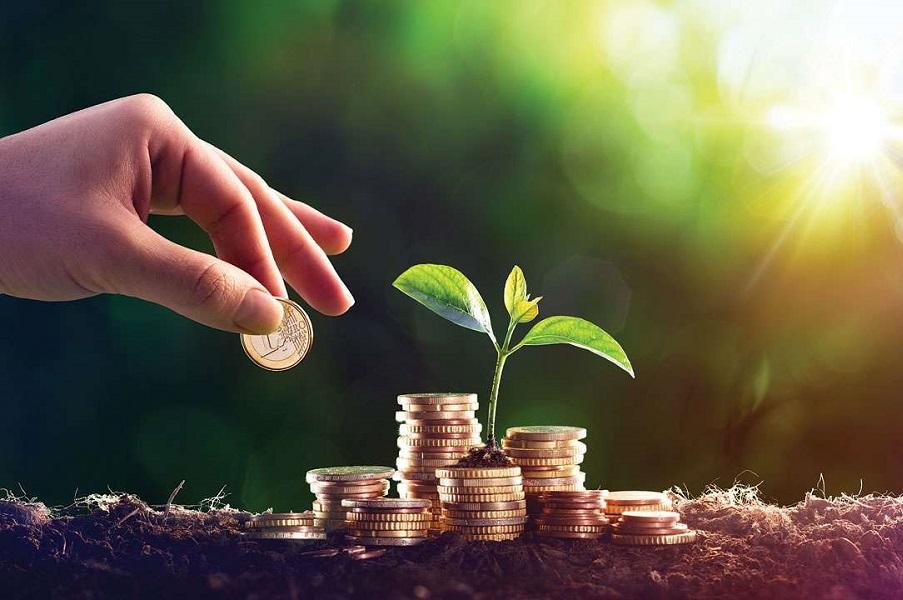 اصول مدیریت ریسک در سرمایه‌گذاری: راهنمای عملی برای سرمایه‌گذاران مبتدی